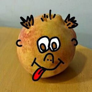 Meet your Posher, Bernard